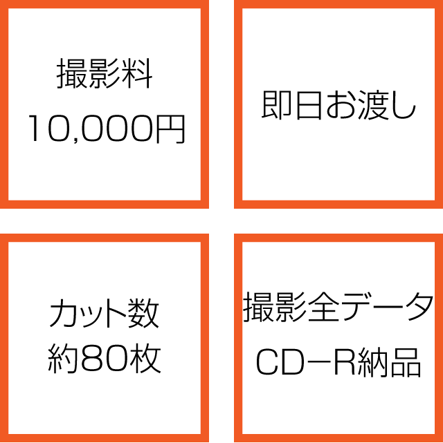 撮影料10,000円＋即日お渡し＋カット数、約80枚＋撮影全データCD-R納品
